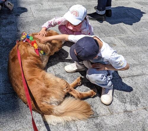 Muffin being friendly with kids at pride parade.